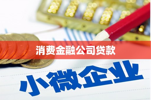 丰都消费金融公司贷款