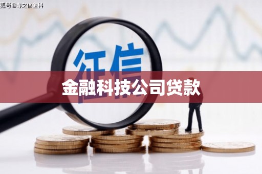 丰都金融科技公司贷款