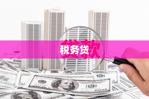 丰都税务贷