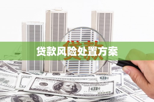 丰都贷款风险处置方案