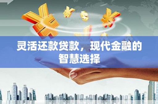 丰都灵活还款贷款，现代金融的智慧选择