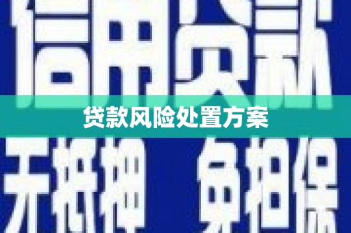 丰都贷款风险处置方案