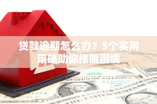 丰都贷款逾期怎么办？5个实用策略助你摆脱困境