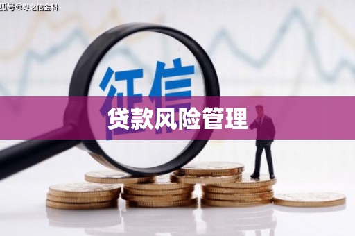 丰都贷款风险管理