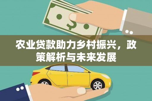 丰都农业贷款助力乡村振兴，政策解析与未来发展