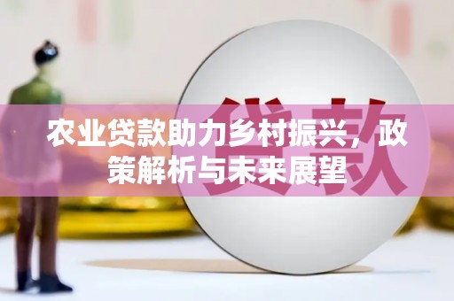 丰都农业贷款助力乡村振兴，政策解析与未来展望