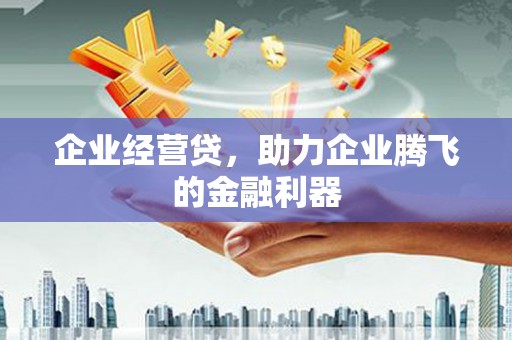 丰都企业经营贷，助力企业腾飞的金融利器