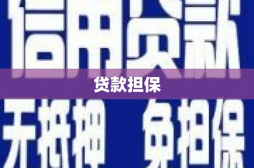 丰都贷款担保