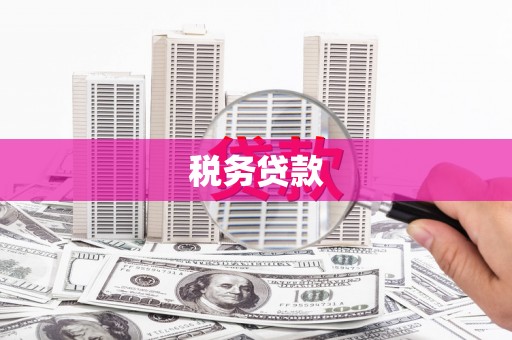 丰都税务贷款