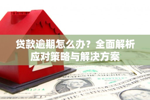 丰都贷款逾期怎么办？全面解析应对策略与解决方案