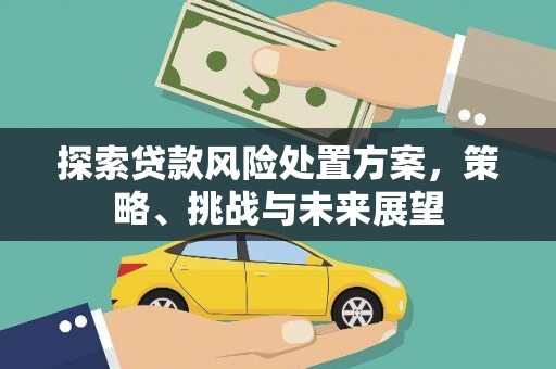 丰都探索贷款风险处置方案，策略、挑战与未来展望