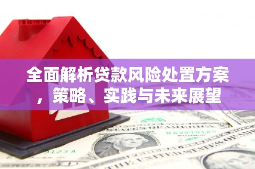 丰都全面解析贷款风险处置方案，策略、实践与未来展望