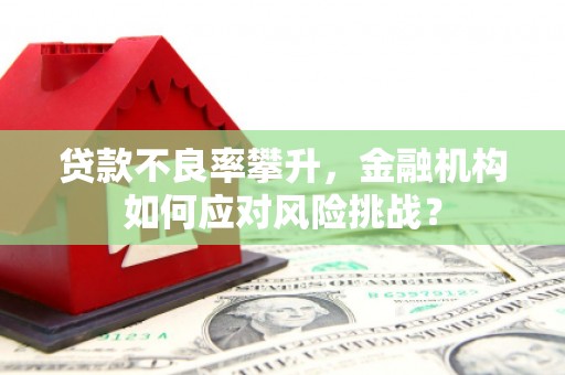 丰都贷款不良率攀升，金融机构如何应对风险挑战？