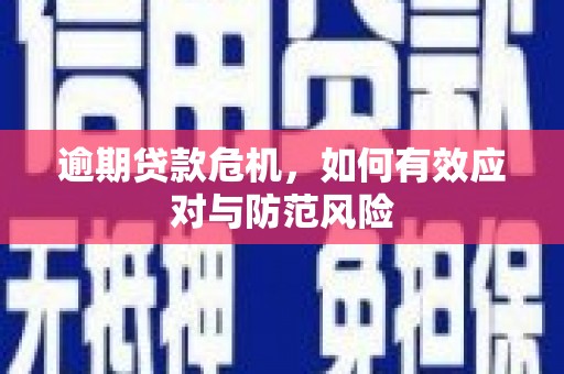 丰都逾期贷款危机，如何有效应对与防范风险