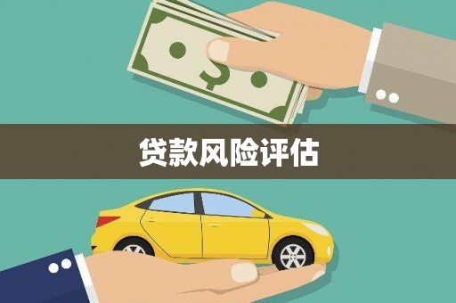 丰都贷款风险评估