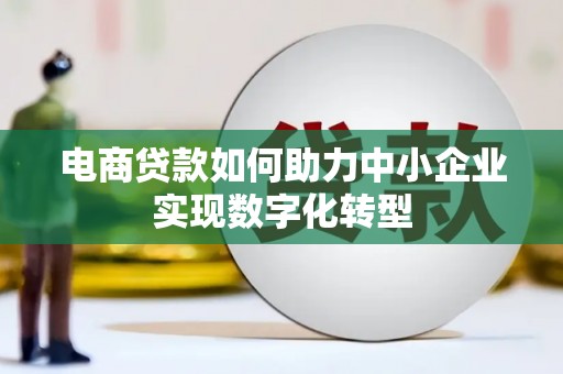 丰都电商贷款如何助力中小企业实现数字化转型