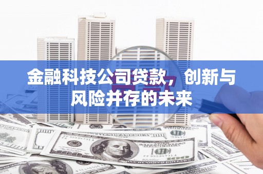 丰都金融科技公司贷款，创新与风险并存的未来