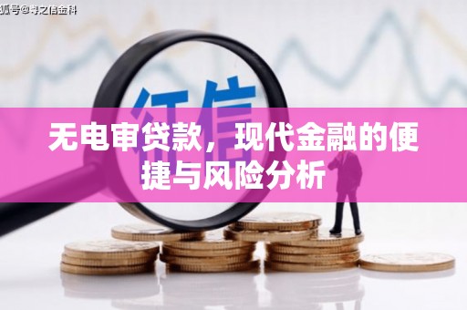 丰都无电审贷款，现代金融的便捷与风险分析