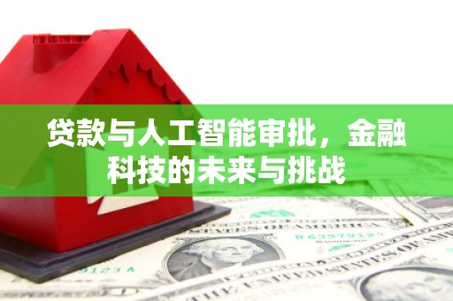 丰都贷款与人工智能审批，金融科技的未来与挑战