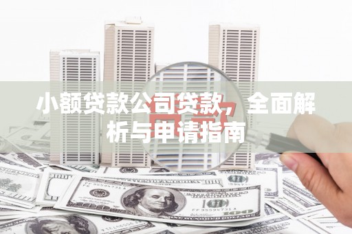 丰都小额贷款公司贷款，全面解析与申请指南