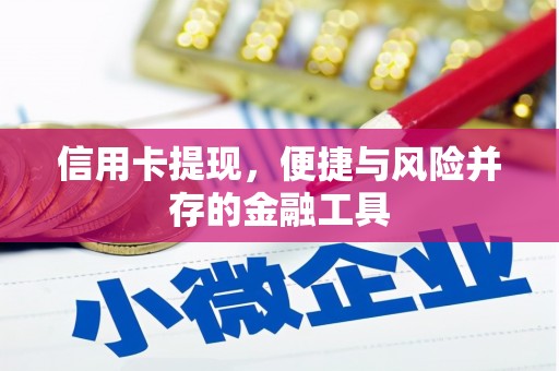 丰都信用卡提现，便捷与风险并存的金融工具