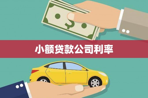 丰都小额贷款公司利率