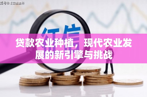 丰都贷款农业种植，现代农业发展的新引擎与挑战
