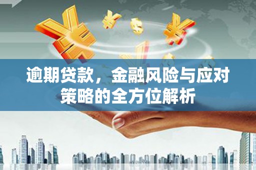 丰都逾期贷款，金融风险与应对策略的全方位解析