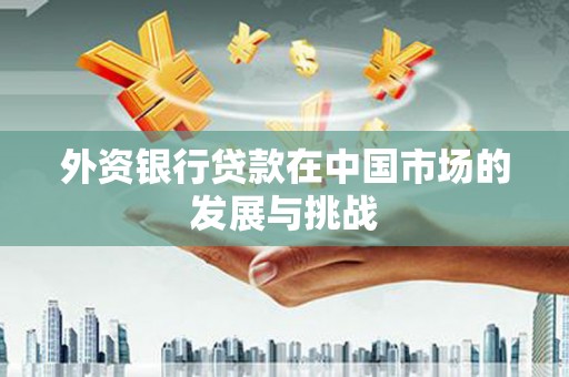 丰都外资银行贷款在中国市场的发展与挑战