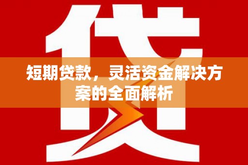 丰都短期贷款，灵活资金解决方案的全面解析