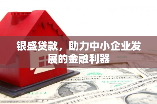 丰都银盛贷款，助力中小企业发展的金融利器