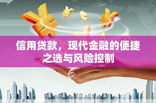 丰都信用贷款，现代金融的便捷之选与风险控制