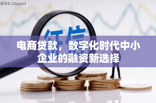 丰都电商贷款，数字化时代中小企业的融资新选择