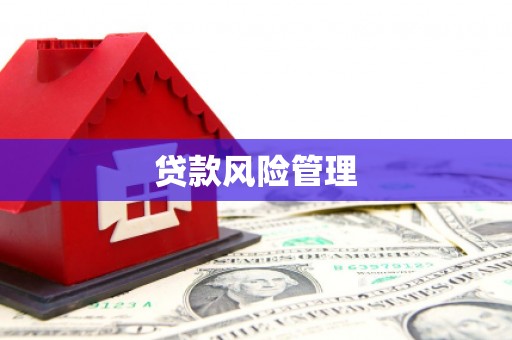 丰都贷款风险管理