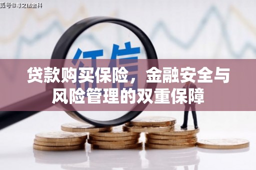 丰都贷款购买保险，金融安全与风险管理的双重保障