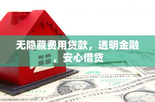 丰都无隐藏费用贷款，透明金融，安心借贷