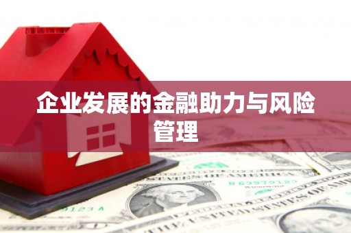 丰都企业发展的金融助力与风险管理