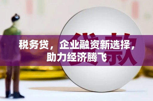 丰都税务贷，企业融资新选择，助力经济腾飞