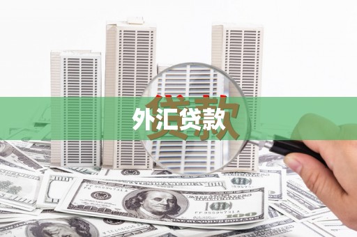 丰都外汇贷款
