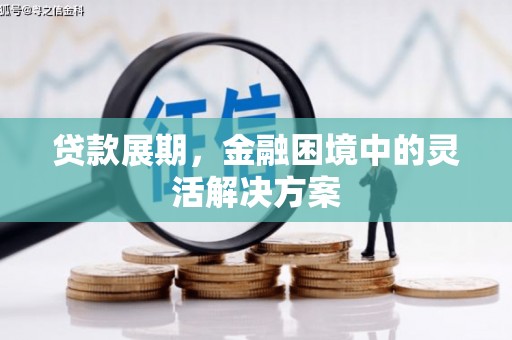 丰都贷款展期，金融困境中的灵活解决方案