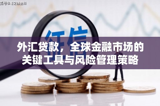 丰都外汇贷款，全球金融市场的关键工具与风险管理策略