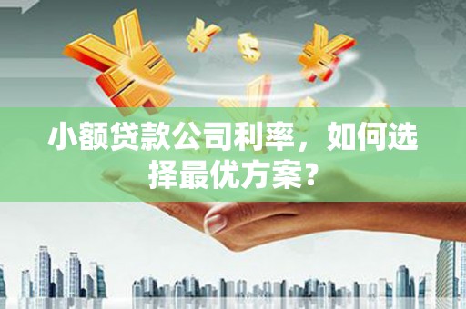 丰都小额贷款公司利率，如何选择最优方案？