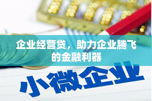 丰都企业经营贷，助力企业腾飞的金融利器