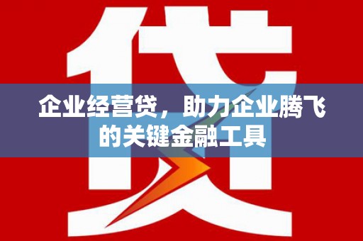 丰都企业经营贷，助力企业腾飞的关键金融工具