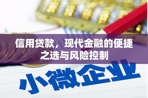 丰都信用贷款，现代金融的便捷之选与风险控制