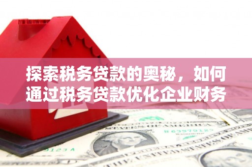丰都探索税务贷款的奥秘，如何通过税务贷款优化企业财务