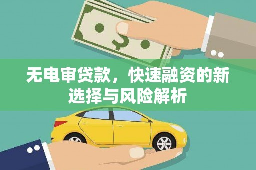 丰都无电审贷款，快速融资的新选择与风险解析