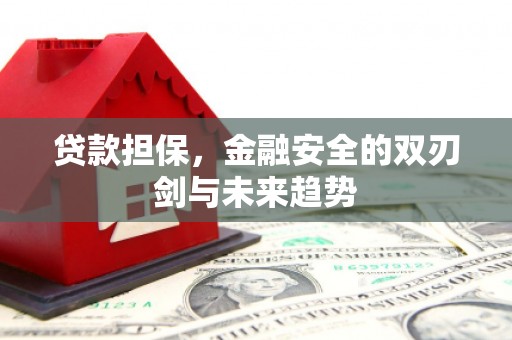 丰都贷款担保，金融安全的双刃剑与未来趋势