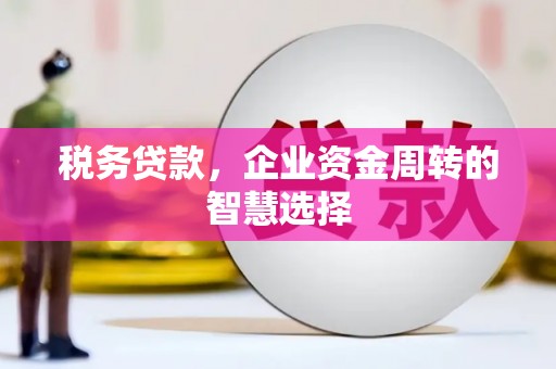 丰都税务贷款，企业资金周转的智慧选择