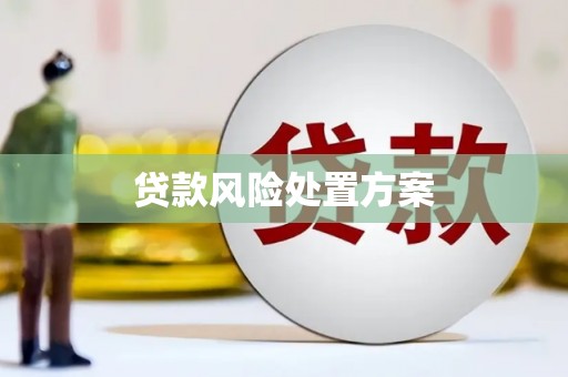 丰都贷款风险处置方案